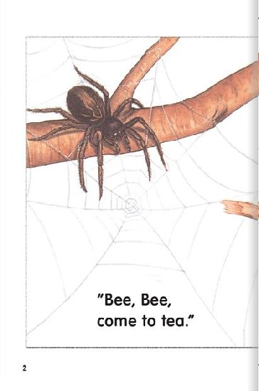 Spider, Spider-1.jpg
