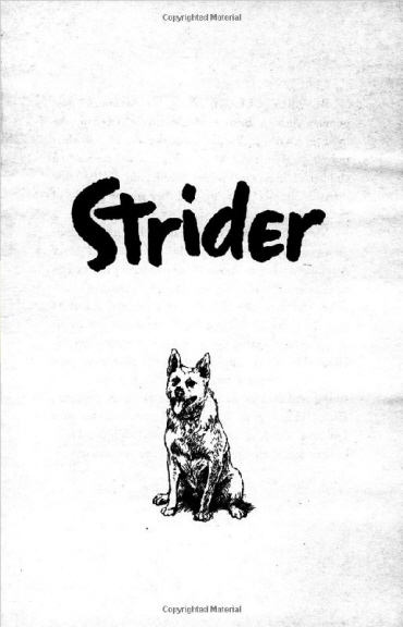 Strider-3.jpg