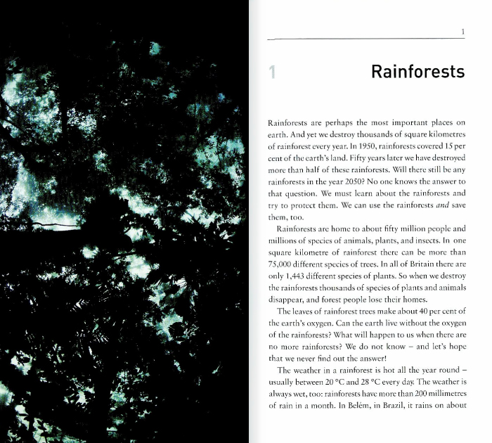 Rainforests_01.jpg